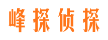 巩留峰探私家侦探公司